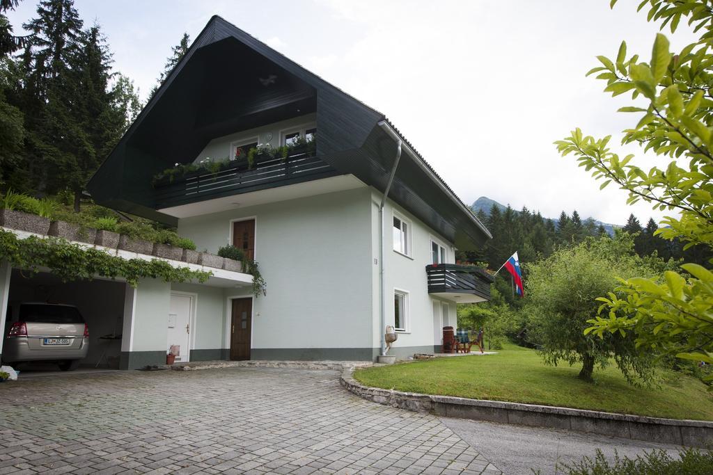 Villa Bohinj *