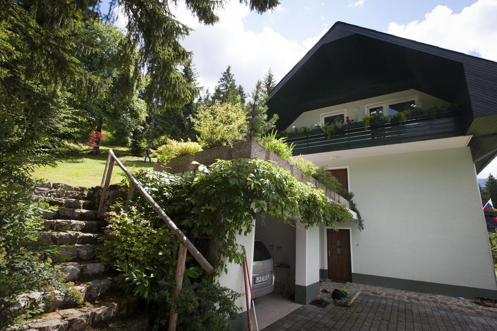 Villa Bohinj Ferienhaus *