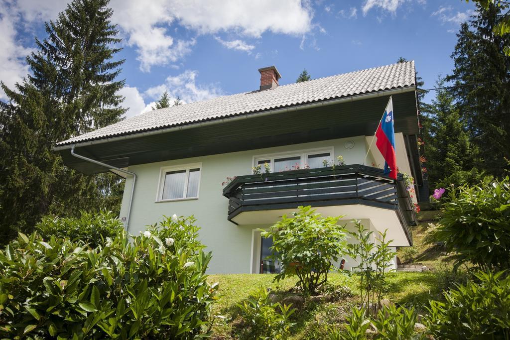 Ferienhaus Villa Bohinj Bohinj